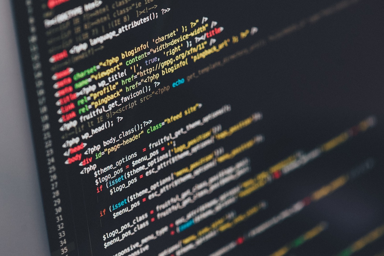 From Words to Code: My Professional Journey